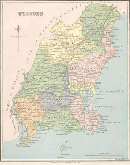 Ireland - County Wexford 1879