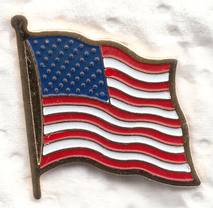 je-162  Waving USA Flag Pin