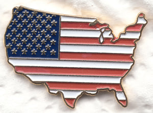 USA Shaped Flag Pin